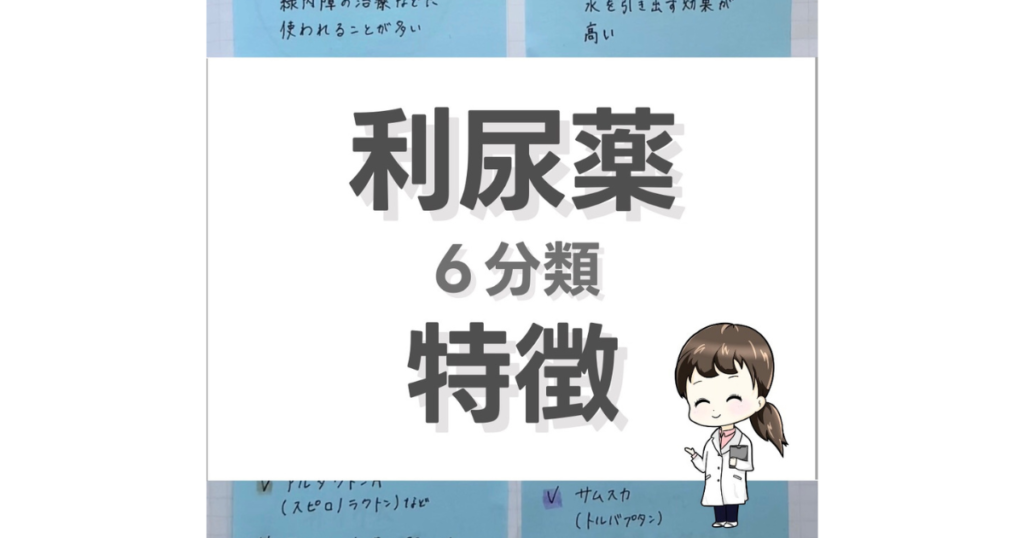 【利尿薬6分類の特徴】を簡単に解説!
