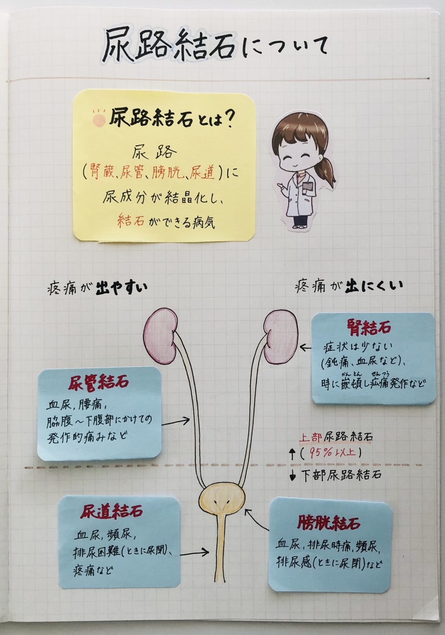 【尿路結石とは?】部位による痛みの感じ方の違いや主な症状を簡単に解説!